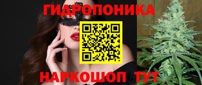 СК Тверь