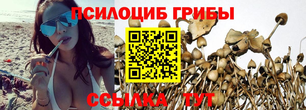 Псилоцибиновые грибы GOLDEN TEACHER Краснодар